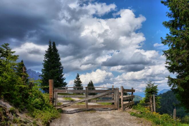 Weg zur Tiergartenalm