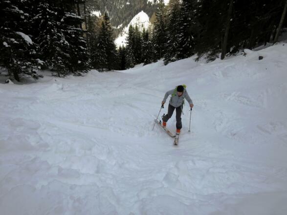 So elegant den Hochwald zu durchqueren, das würde man sich bei so mancher Tour wünschen.