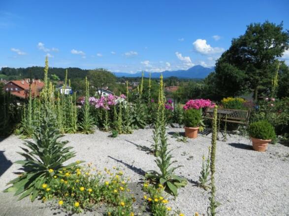 Ausblick Widernhof