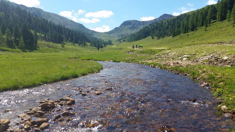 Der Weg führt entlang des Kremsbaches