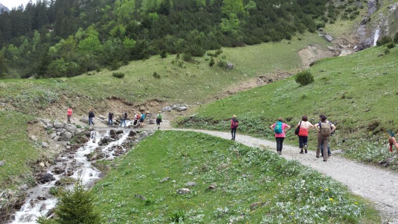 Im wildromantischen Höhenbachtal zur Rossgumpenalm