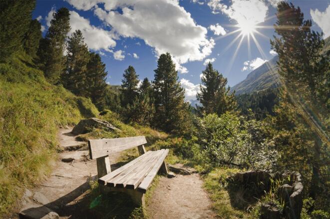 Obergurgler Zirbenwald