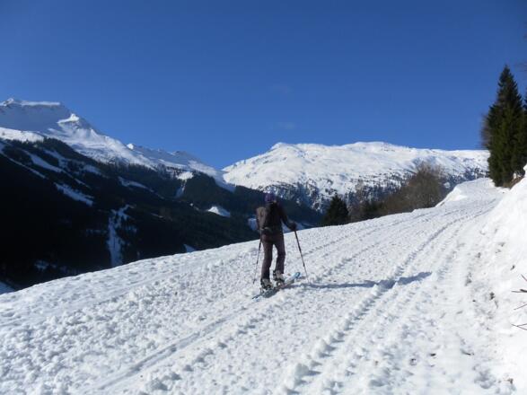 Silberpfennig aus der Kaserebenpiste