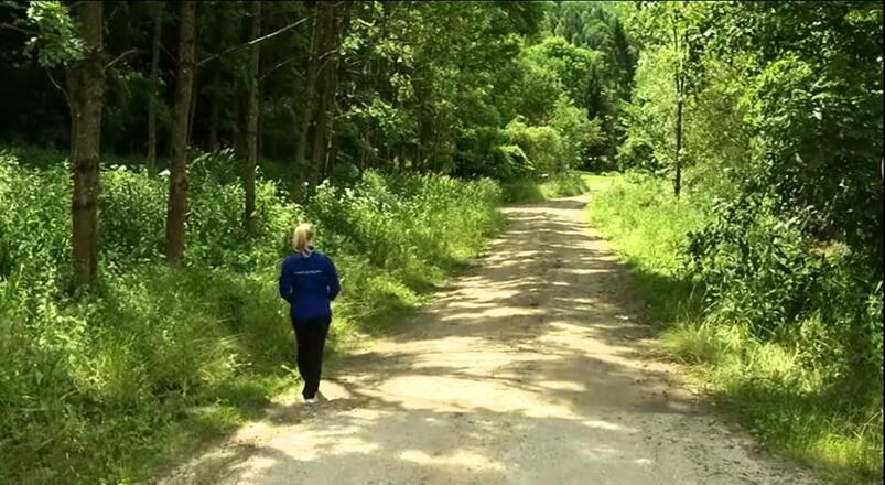Wandern am Donausteig - Engelhartszell-Waldkirchen-Schlögen-Aschach