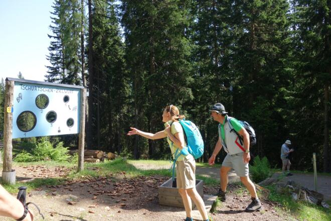 Auf dem Weg im Wald gibt es viel zu entdecken...