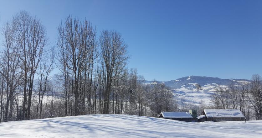 Blick nach Schwarzenberg