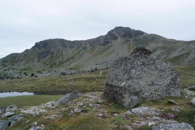 Königstuhl vom Rosaninsee aus gesehen