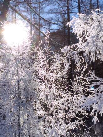 Wintersonne