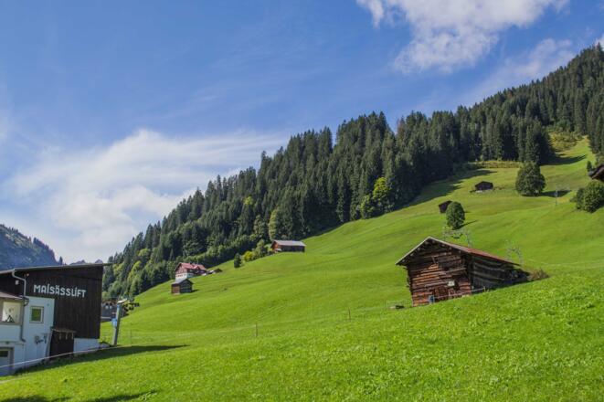 Haspelwald vom Maisässlift aus