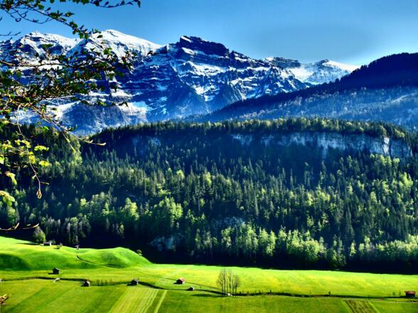 Ausblick Richtung Kanisfluh