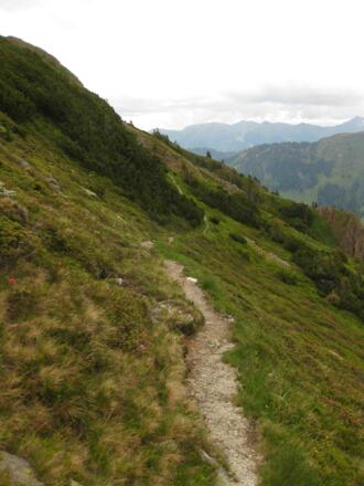 Steig am Blumgenweg Hochhörndl