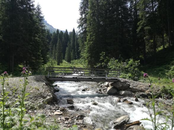 Brücke über den Nenzigastbach