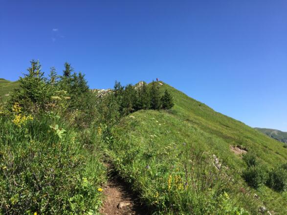 Der Grasberg Grünhorn