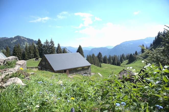 Alpe Rüschers Gunten