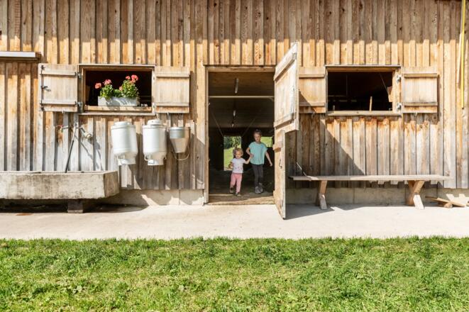 Kinder auf der Alpe Greußings Wildmoos