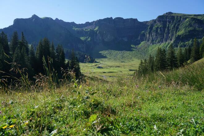 Alpe Kanis Mellau