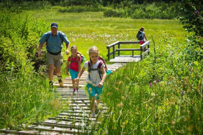 Das Moor hautnah erleben