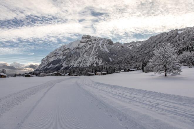 Winterwandern mit Blick auf die Kanisfluh