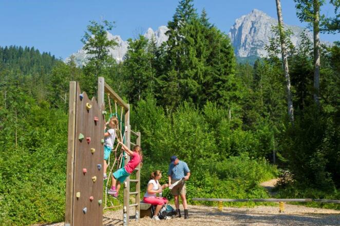 Der Wilde Kaiser im Hintergrund