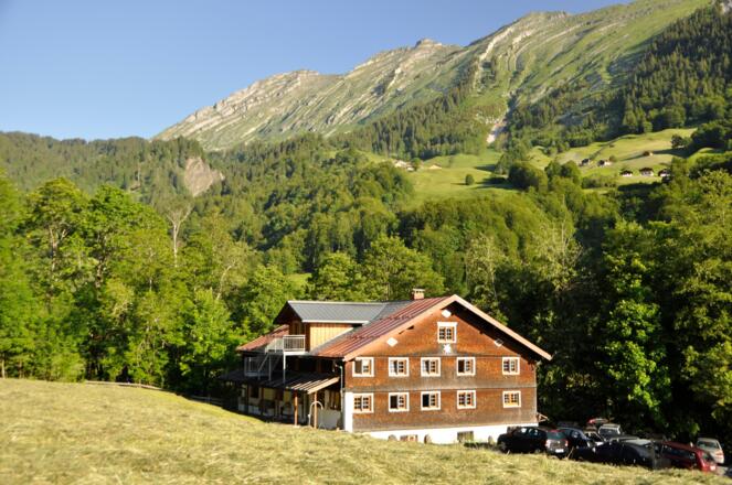 Bergheim Au im Sommer