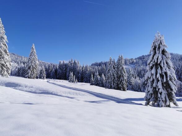 Winterlandschaft in Sibratsgfäll