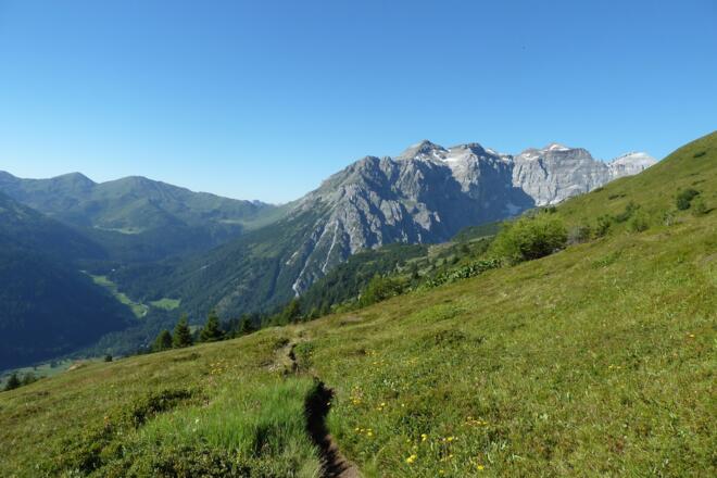 Blick zurück über sanfte Bergmähder, Obernberger Tribulaun im Hintergrund
