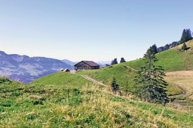 Alpe Hochleckach
