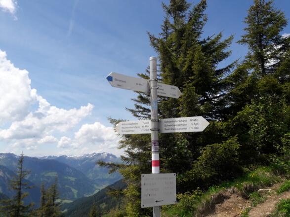 Am Starzeljoch zwischen Bregenzerwald und Kleinwalsertal