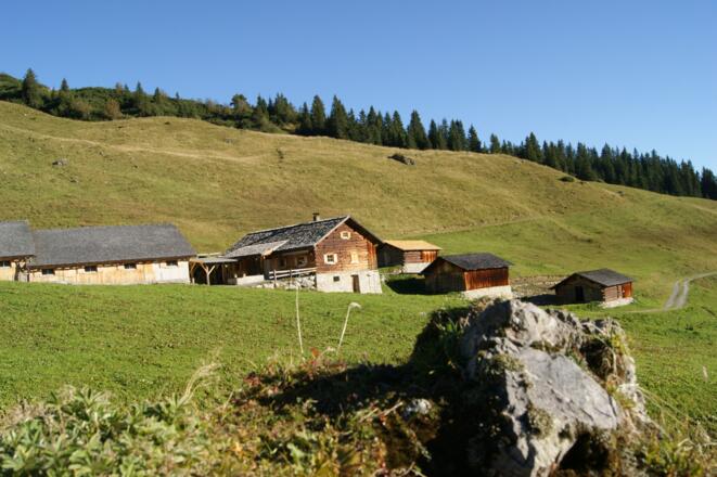 Alpe Latschätz