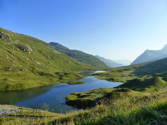 Scheidseen