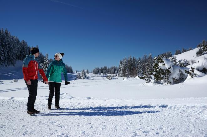 Winterwandern