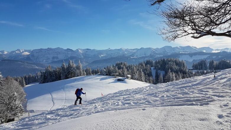 Zum Gipfel des Brüggelekopfs