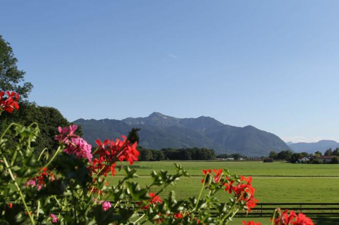 Die Aussicht