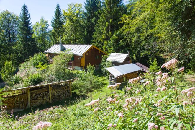 Reitbichlhütte