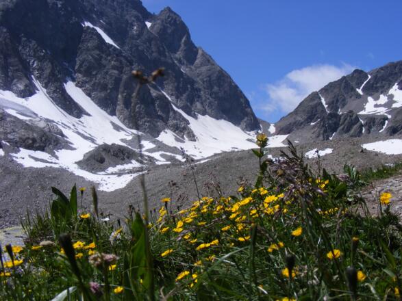 Blick auf das Kuchenjoch, rechts davon geht´s zum Scheibler hinauf