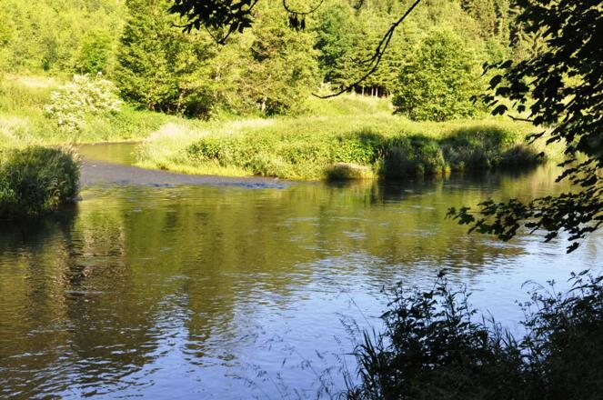 Die Saale bei Hirschberg