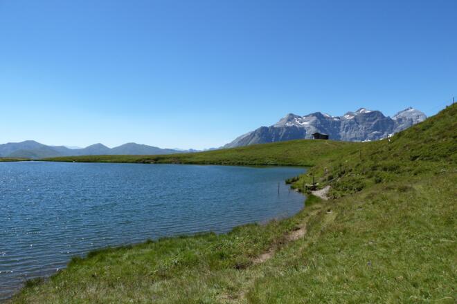 Der schöne Lichtsee eingebettet in sanfte Hügellandschaft