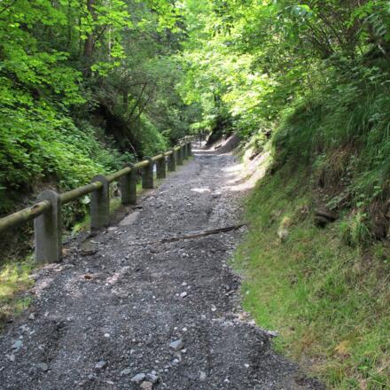 Spazierweg in Hirschegg