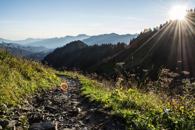 Weg vom Walmendingerhorn zur Walmendinger Alpe