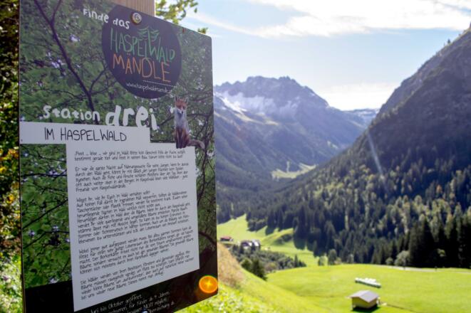 Station drei des Haspelwaldwegs