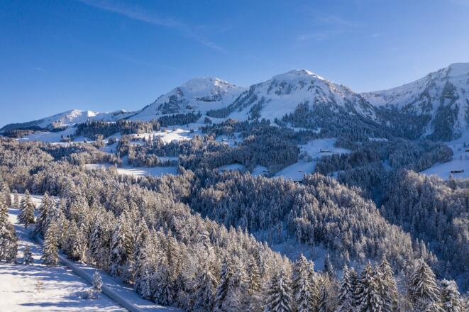 Blick auf die Winterstaude