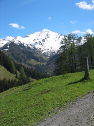 Blick auf die Bergwelt