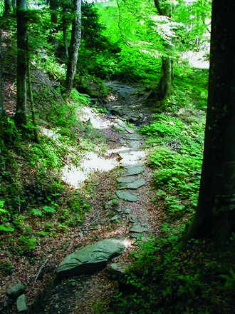 Waldpfad