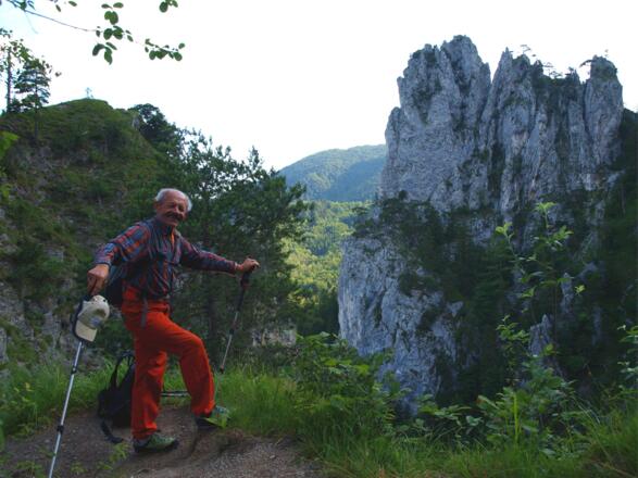 Kaltenbachwildnis noch im Schatten