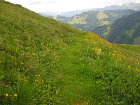 Am Blumenweg Hochhörndl