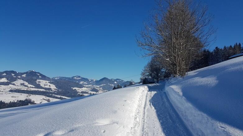 Winterwanderweg in Dresslen nach Müselbach
