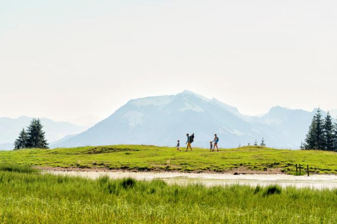 Panoramaweg auf dem Bödele