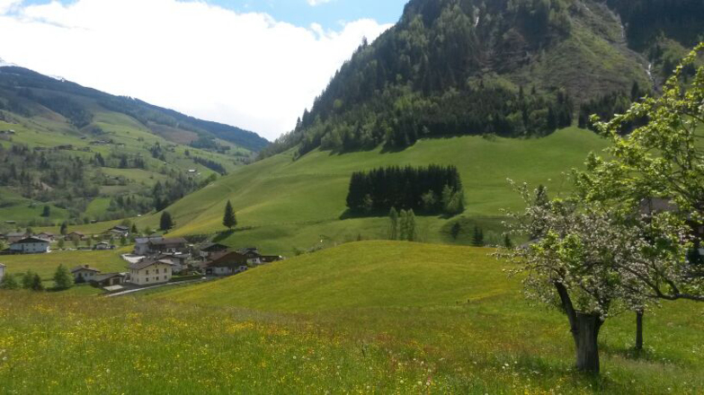Spaziergang Wörtherberg