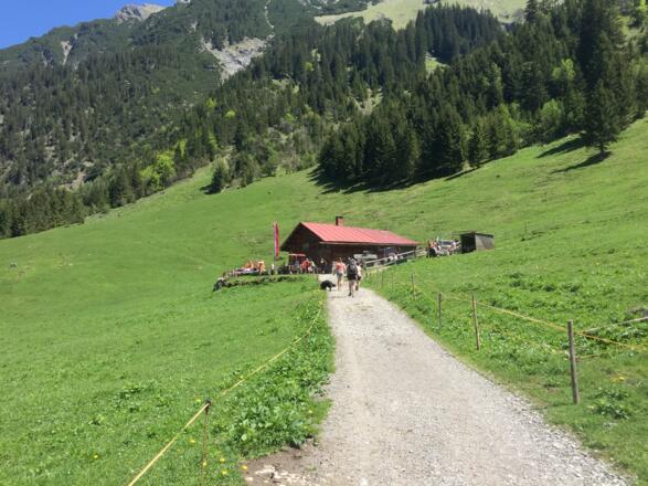 Gemstel Schönesboden