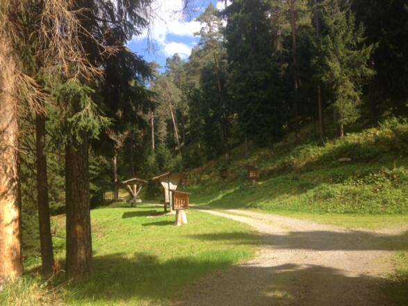 Wildfütterung